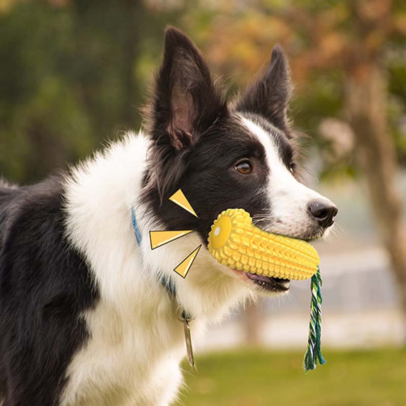 Hot Selling Large Size Corn Sh - Corn Dog Stick review and price