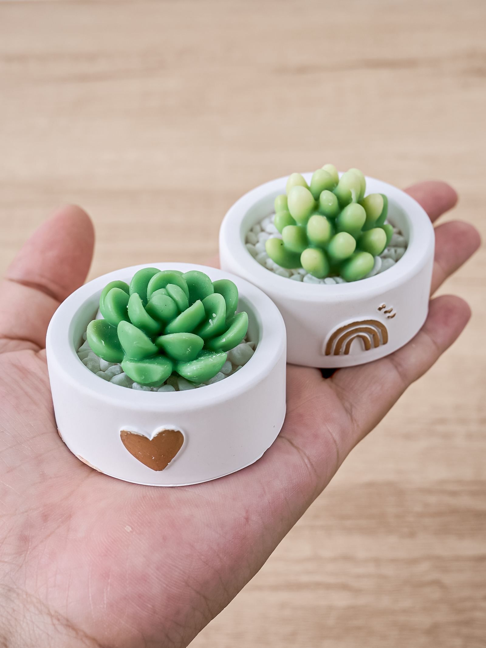 Round Candle Cup Holder Silico - Potsticker Mold review and price