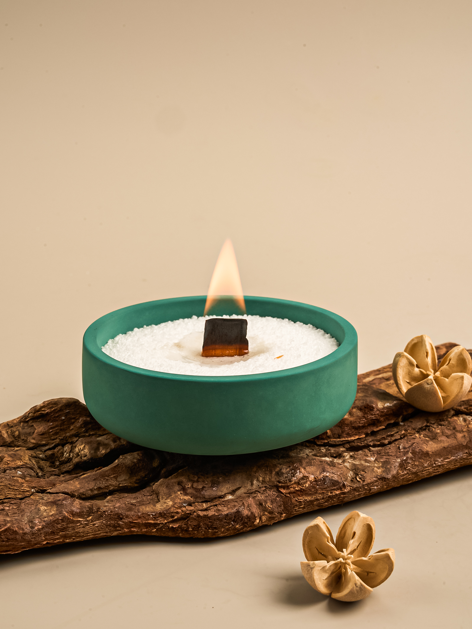 Nordic Round Storage Bowl Ceme - Potsticker Mold review and price