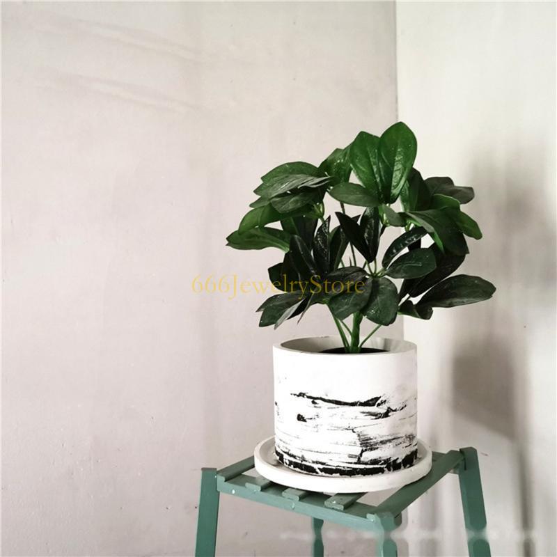 F2TD Large Round Concrete Flow - Potsticker Mold review and price