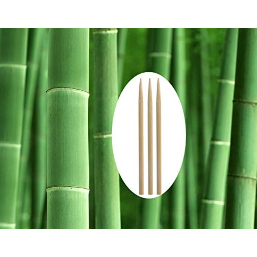5.5 inch Thick Bamboo Sticks f - Corn Dog Stick review and price